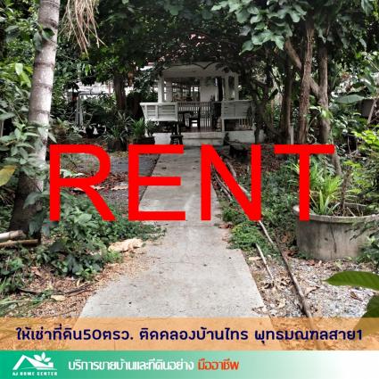 ให้เช่าที่ดินเปล่าระยะยาว 50 ตารางวา ติดคลองบ้านไทร ติดถนนพุทธมณฑลสาย1