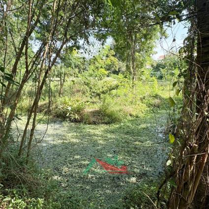 ขายที่ดินพร้อมบ้านชั้นเดียว 1 ไร่ ย่านบางใหญ่