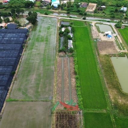 ขายที่ดิน 6-0-45 ไร่ ต.รางพิกุล อ.กำแพงแสน จ.นครปฐม