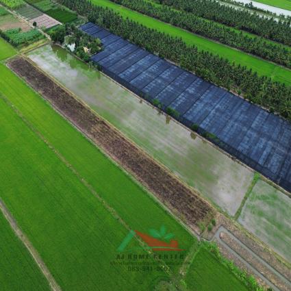 ขายที่ดิน 6-0-45 ไร่ ต.รางพิกุล อ.กำแพงแสน จ.นครปฐม
