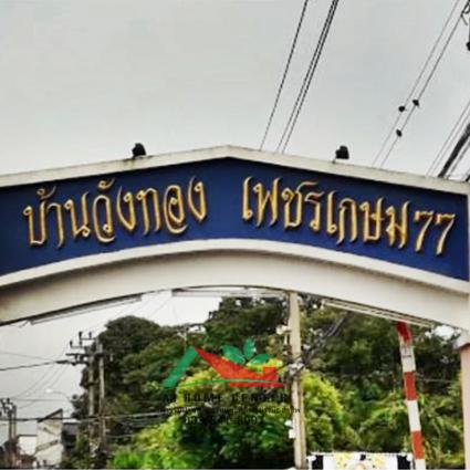 ขายทาวน์เฮ้าส์ 25 ตารางวา ม.วังทอง เพชรเกษม77 รีโนเวทใหม่