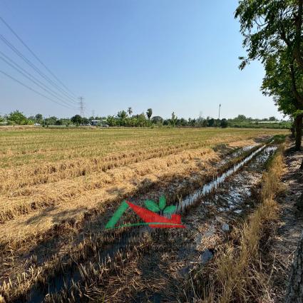 ขายที่ดินพร้อมสิ่งปลูกสร้าง 8-0-75.2 ไร่ ถ.เลียบคลองประปามหาสวัสดิ์ บางคูรัด