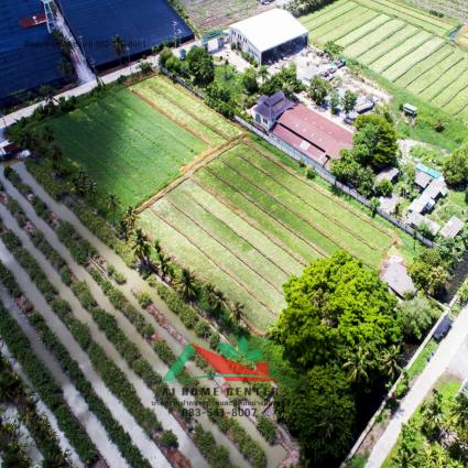 ขายที่ดินเปล่า 5-0-47 ไร่ ซอย อบต.บางยาง กระทุ่มแบน