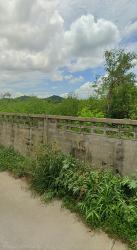 ให้เช่าที่ดิน 1 ไร่ ใกล้ ร.ร.อนุบาลนครสวรรค์ วิวสวย ติดแม่น้ำ เหมาะทำร้านกาแฟ