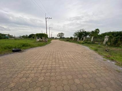 ขายต่ำกว่าประเมินที่ดิน 266 ตรว ติดถนนคอนกรีต ต.บ้านงิ้ว อ.สามโคก จ.ปทุมธานี