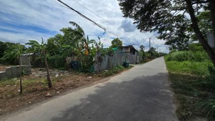 ขายที่ดิน 200 ตรว ติดถนนคอนกรีตสาธารณะ ถมแล้ว ซ.คลองสี่ ตอ.36 คลองหลวง ปทุมธานี