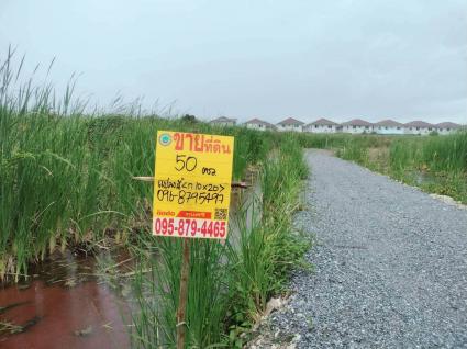ขายด่วนที่ดินใกล้วัดบางม่วง 50 ตรว ติดถนนสาธารณะ ต.บางม่วง อ.บางใหญ่ จ.นนทบุรี