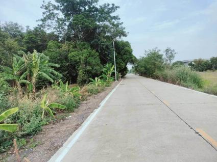 ขายด่วนที่ดิน 452 ตรว ติดถนนคอนกรีตสาธารณะ ถมแล้ว ซ.คลองสาม 12/17 คลองหลวง ปทุมธานี