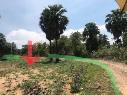 ขายที่ดินติดทะเลปราณบุรี (รหัสทรัพย์ 202639)   ต.ปากน้ำปราณ อ.ปราณบุรี จ.ประจวบคีรีขันธ์