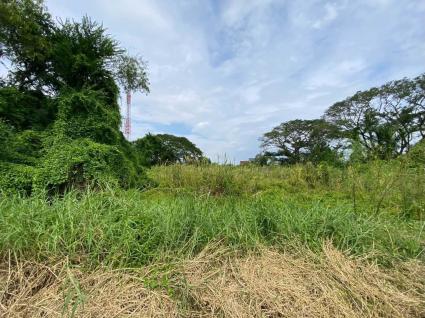 ขายด่วนที่ดิน 105 ตรว ติดถนนสาธารณะ ซ.สมพงษ์ พุทธมณฑล นครปฐม