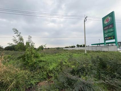 ขายที่ดิน 3 ไร่ครึ่งติดถนนสาธารณะ ติดถนนราชพฤกษ์ ปากเกร็ด นนทบุ