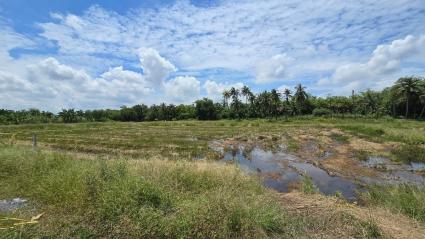 ขายด่วนที่ดิน 600 ตรว ติดถนนสาธารณะ ต.มหาสวัสดิ์ อ.พุทธมณฑล จ.นครปฐม