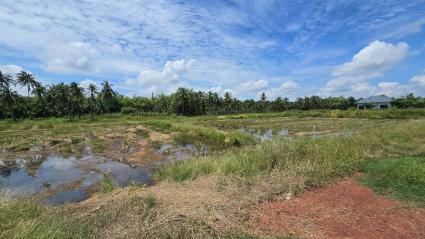 ขายด่วนที่ดิน 600 ตรว ติดถนนสาธารณะ ต.มหาสวัสดิ์ อ.พุทธมณฑล จ.นครปฐม