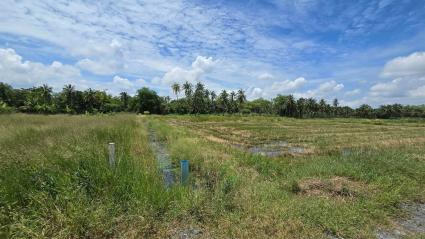 ขายด่วนที่ดิน 600 ตรว ติดถนนสาธารณะ ต.มหาสวัสดิ์ อ.พุทธมณฑล จ.นครปฐม