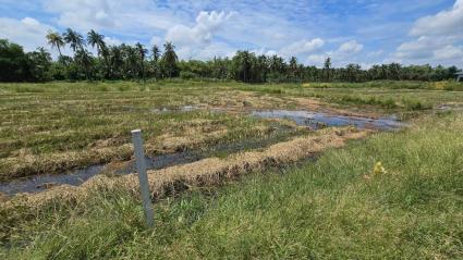 ขายด่วนที่ดิน 600 ตรว ติดถนนสาธารณะ ต.มหาสวัสดิ์ อ.พุทธมณฑล จ.นครปฐม