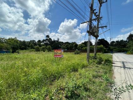 ขายด่วนที่ดิน 345 ตรว ติดถนนลาดยางสาธารณะ ถมแล้ว ต.แหลมบัว อ.นครชัยศรี จ.นครปฐม