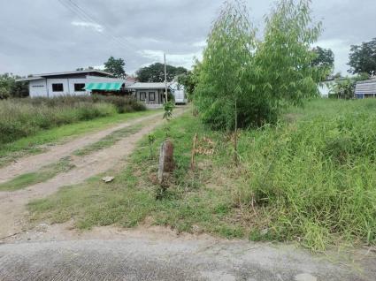 ขายด่วนที่ดินคลองห้า 587 ตรว ติดถนนคอนกรีต สวนรังสิต เลคแลนด์ อ.คลองหลวง จ.ปทุมธานี