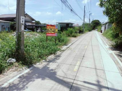 ขายด่วนที่ดิน 198 ตรว ติดถนนคอนกรีตสาธารณะ 2 ด้าน ซ.ลิขิตไก่ย่าง บางบัวทอง นนทบุรี
