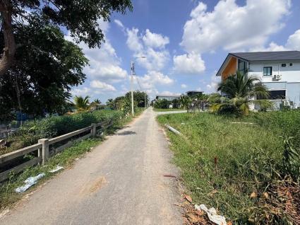 ขายด่วนที่ดิน 100 ตรว ติดถนนลาดยางสาธารณะ ซ.ประทุม บางบัวทอง นนทบุรี
