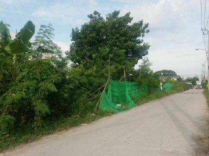 ขายด่วนที่ดินใกล้ซีคอนสแควร์ 462 ตรว ติดถนนคอนกรีตสาธารณะ แปลงมุม ถ.พัฒนาการตัดใหม่ ซอย 94 ประเวศ กทม