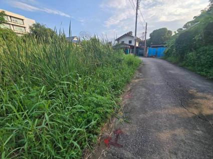 ขายด่วนที่ดินใกล้เทศบาลเมืองพิมลราช 60 ตรว ติดถนนคอนกรีตสาธารณะ แปลงมุม ซ.หมอเหลียง บางบัวทอง นนทบุรี