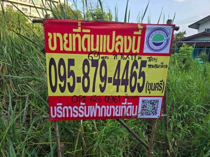 ขายด่วนที่ดินใกล้เทศบาลเมืองพิมลราช 60 ตรว ติดถนนคอนกรีตสาธารณะ แปลงมุม ซ.หมอเหลียง บางบัวทอง นนทบุรี