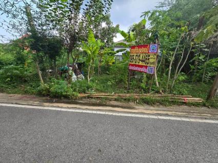 ขายด่วนที่ดิน 52 ตรว ติดถนนลาดยางสาธารณะ ถมแล้ว ต.บางคูรัด อ.บางบัวทอง จ.นนทบุรี