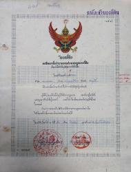 ขายที่ดิน 50 ตรว. พร้อมบ้านพักอาศัย 1 ชั้น