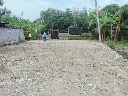 ขายที่ดิน 54 ตรว ติดถนนคอนกรีตสาธารณะ ถมแล้ว หมู่บ้านดินอุดม 7 บางบัวทอง นนทบุรี