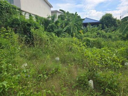 ขายด่วนที่ดินใกล้เซ็นทรัลศาลายา 91 ตรว ติดถนนคอนกรีตสาธารณะ ถมแล้ว ซ.หอถังประปา รพช. อ.พุทธมณฑล จ.นครปฐ