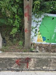 ขายด่วนที่ดินใกล้เซ็นทรัลศาลายา 91 ตรว ติดถนนคอนกรีตสาธารณะ ถมแล้ว ซ.หอถังประปา รพช. อ.พุทธมณฑล จ.นครปฐ