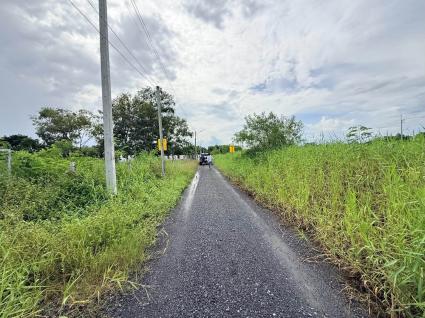 ขายด่วนที่ดินใกล้รพ.คลองหลวง 130 ตรว ติดถนนสาธารณะ ซ.คลองห้าตะวันออก 30 อ.คลองหลวง จ.ปทุมธานี