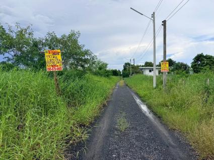 ขายด่วนที่ดินใกล้รพ.คลองหลวง 130 ตรว ติดถนนสาธารณะ ซ.คลองห้าตะวันออก 30 อ.คลองหลวง จ.ปทุมธานี