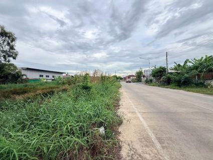 ขายด่วนที่ดินคลองสอง 363 ตรว ติดถนนคอนกรีต ซ.บงกช 69 อ.คลองหลวง จ.ปทุมธานี