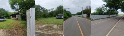 ขายที่ดิน 9 ไร่ ที่ถมแล้ว ต. ท่าวุ้ง จ. ลพบุรี