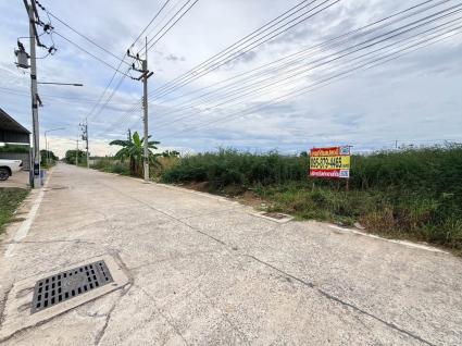 ขายด่วนที่ดิน 100 ตรว ติดถนนคอนกรีตสาธารณะ ซ.บงกช 71 อ.คลองหลวง จ.ปทุมธานี