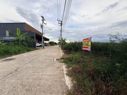 ขายด่วนที่ดิน 100 ตรว ติดถนนคอนกรีตสาธารณะ ซ.บงกช 71 อ.คลองหลวง จ.ปทุมธานี