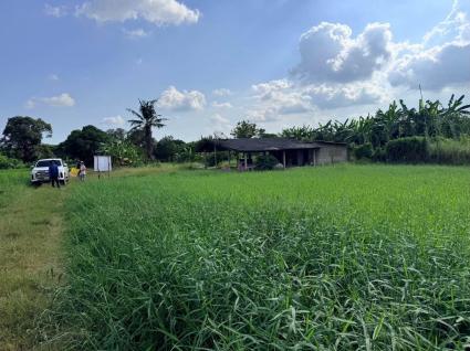 ขายด่วนที่ดิน 182 ตรว เหมาะสร้างบ้านสวน ต.สวนป่าน อ.เมืองนครปฐม จ.นครปฐม