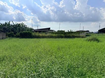 ขายด่วนที่ดิน 182 ตรว เหมาะสร้างบ้านสวน ต.สวนป่าน อ.เมืองนครปฐม จ.นครปฐม