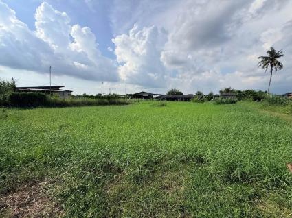ขายด่วนที่ดิน 182 ตรว เหมาะสร้างบ้านสวน ต.สวนป่าน อ.เมืองนครปฐม จ.นครปฐม